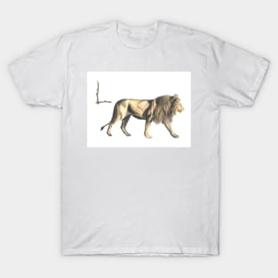 L for lion alphabet illustration T-Shirt